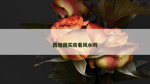 西雅图买房看风水吗