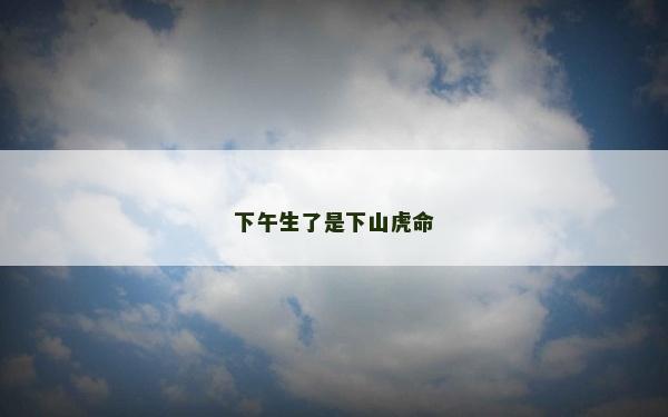 下午生了是下山虎命