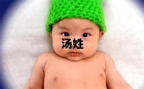 汤姓朗朗上口的男宝宝名字