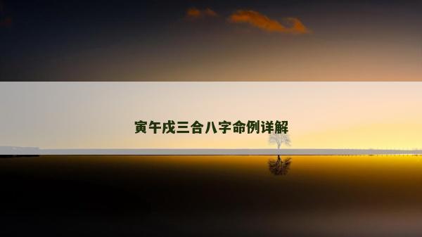 寅午戌三合八字命例详解