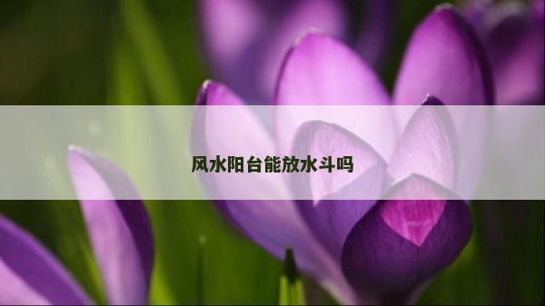 风水阳台能放水斗吗