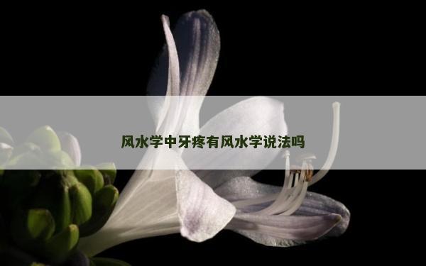 风水学中牙疼有风水学说法吗