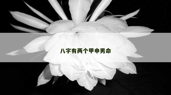 八字有两个甲申男命