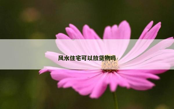 风水住宅可以放货物吗