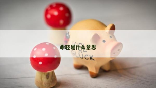 命轻是什么意思