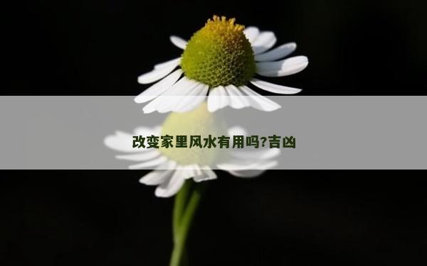 改变家里风水有用吗?吉凶