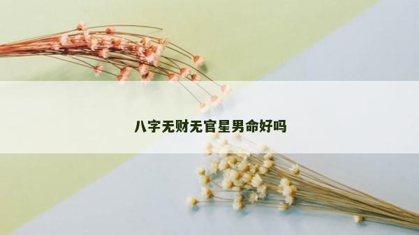 八字无财无官星男命好吗