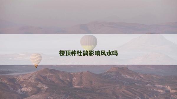 楼顶种杜鹃影响风水吗