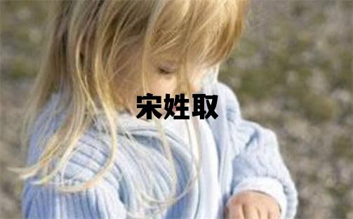 宋姓取名优美的男宝宝名字