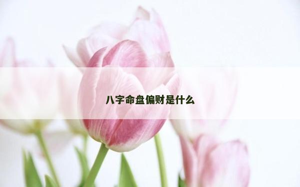八字命盘偏财是什么
