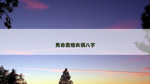 男命离婚丧偶八字