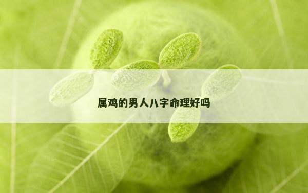 属鸡的男人八字命理好吗