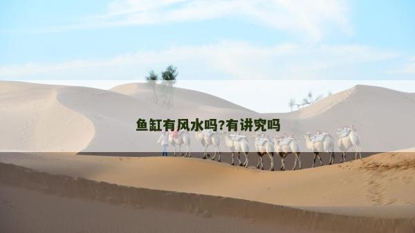 鱼缸有风水吗?有讲究吗