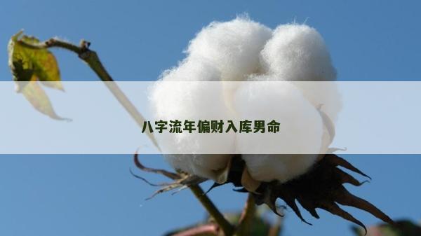 八字流年偏财入库男命