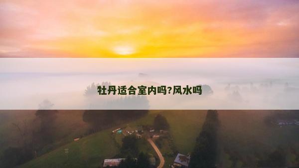 牡丹适合室内吗?风水吗