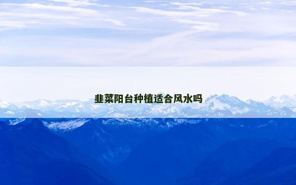 韭菜阳台种植适合风水吗