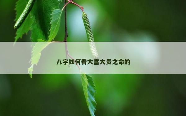 八字如何看大富大贵之命的