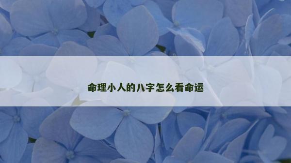 命理小人的八字怎么看命运