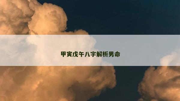 甲寅戊午八字解析男命