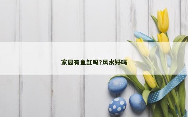家园有鱼缸吗?风水好吗