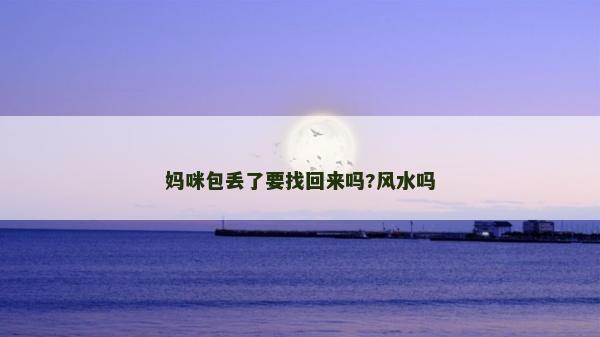 妈咪包丢了要找回来吗?风水吗