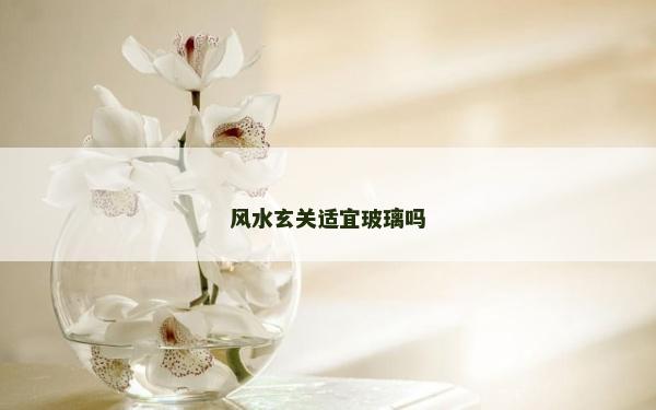 风水玄关适宜玻璃吗