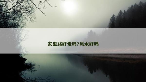 家里路好走吗?风水好吗