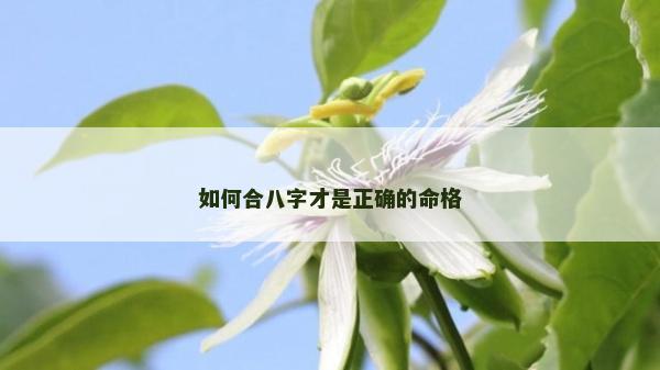 如何合八字才是正确的命格