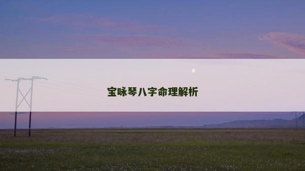 宝咏琴八字命理解析