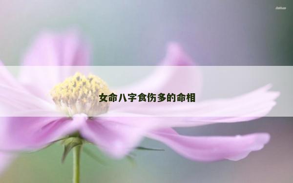 女命八字食伤多的命相