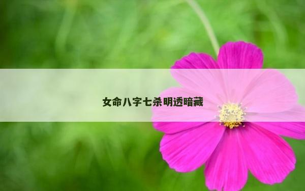 女命八字七杀明透暗藏