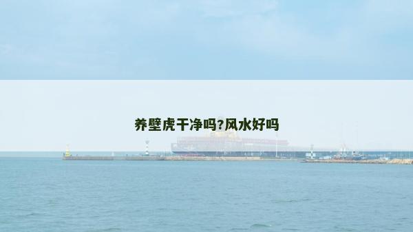 养壁虎干净吗?风水好吗