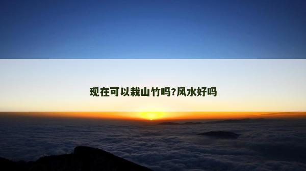 现在可以栽山竹吗?风水好吗