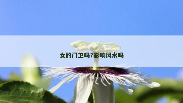 女的门卫吗?影响风水吗
