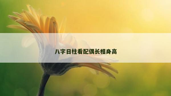 八字日柱看配偶长相身高