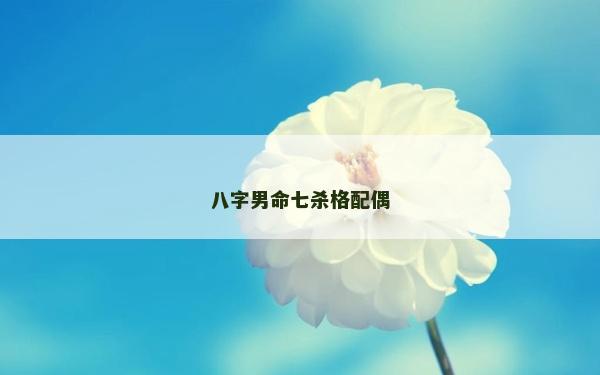 八字男命七杀格配偶