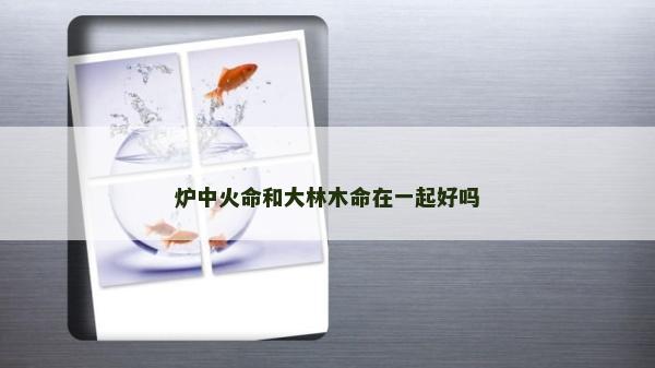 炉中火命和大林木命在一起好吗