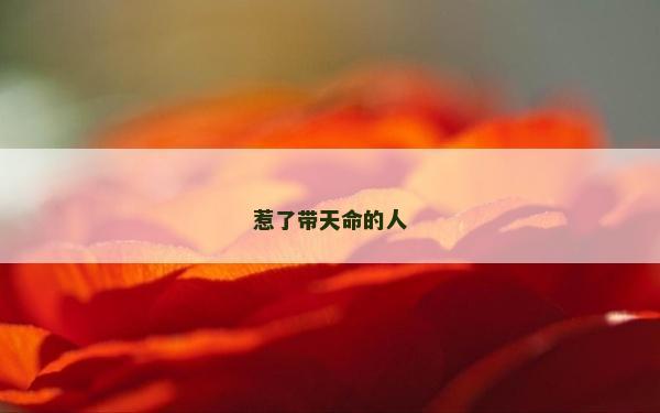 惹了带天命的人