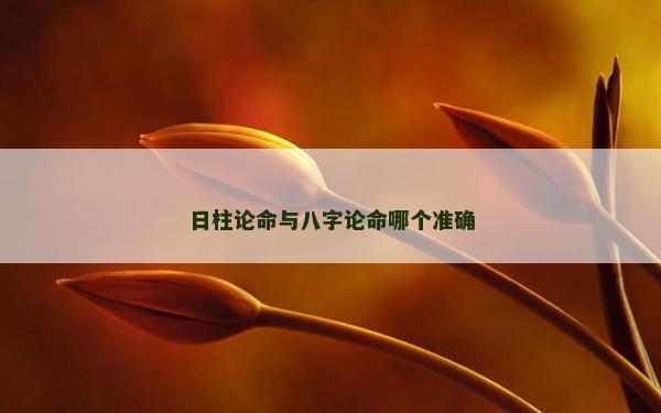 日柱论命与八字论命哪个准确