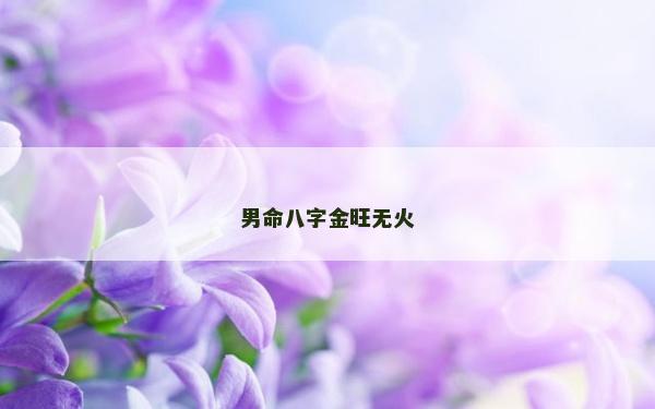 男命八字金旺无火