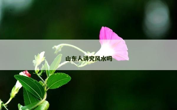 山东人讲究风水吗