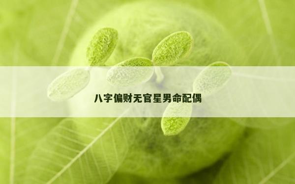 八字偏财无官星男命配偶