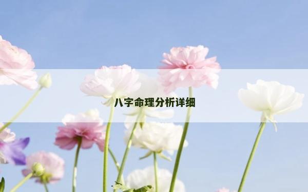 八字命理分析详细