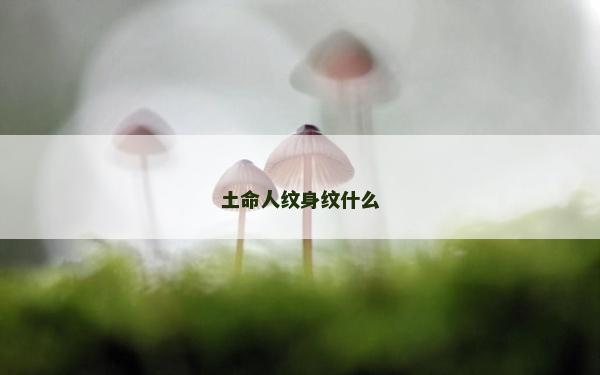 土命人纹身纹什么