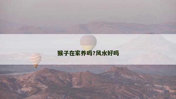 猴子在家养吗?风水好吗