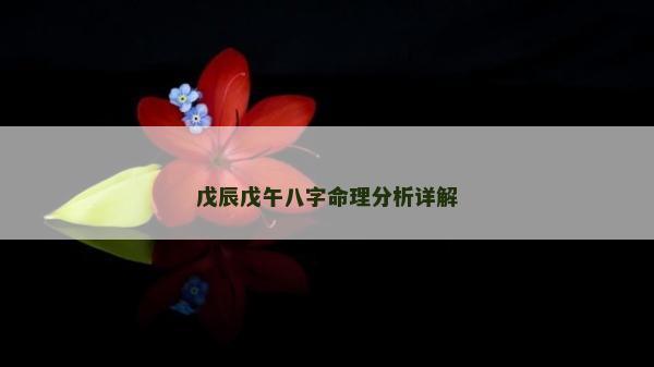 戊辰戊午八字命理分析详解