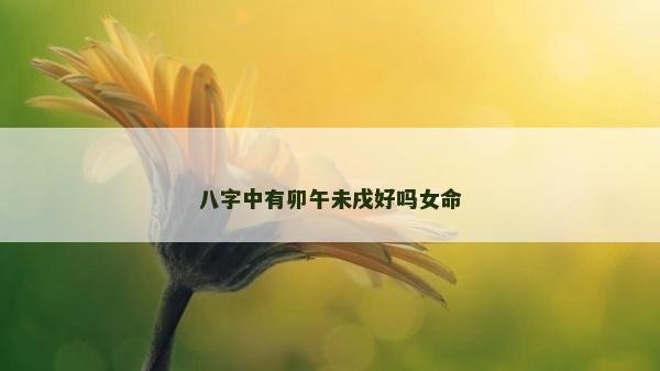 八字中有卯午未戌好吗女命
