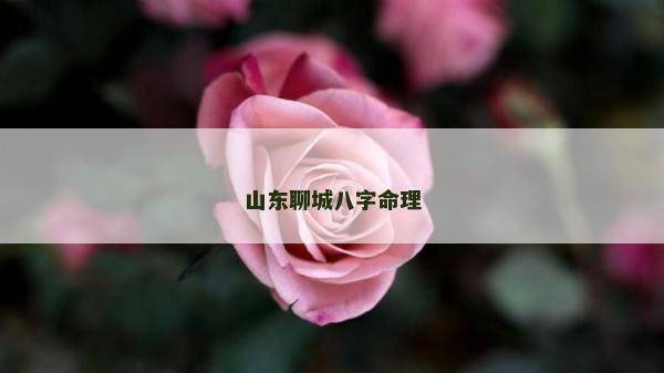 山东聊城八字命理