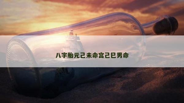 八字胎元己未命宫己巳男命