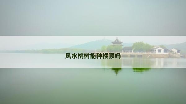 风水桃树能种楼顶吗